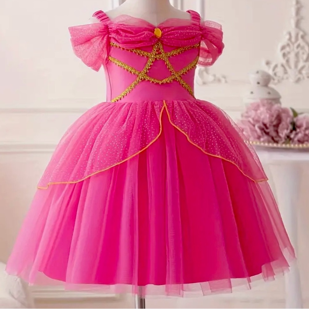 Dark Pink Princess Dress (NWT)